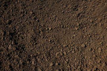 Soil for garden and gardening background, closeup. Cultivated agricultural field. Farm land.