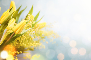 Fototapeta premium Spring flowers on the wooden background, greeting card for Mothers Day, 8 March, easter