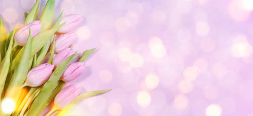 Fototapeta premium Spring flowers on the wooden background, greeting card for Mothers Day, 8 March, easter