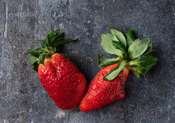 Ugly strawberry (strange and imperfect shape) on blue and grey concrete background, copy space, top view. Red and green fresh berry. Trendy food.