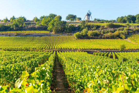 15 September 2019. Sorine Mill in Burgundy, France.