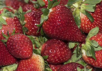 Seasonal strawberries delicious red spring fruit