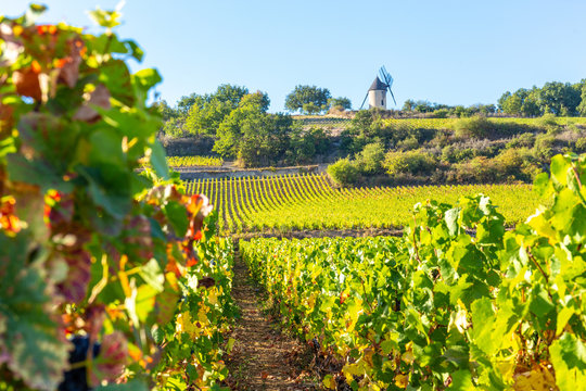 15 September 2019. Sorine Mill in Burgundy, France.