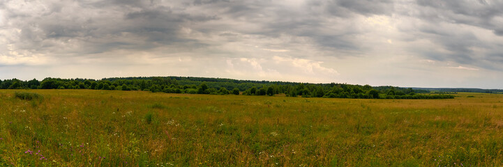 Disturbing clouds are located over a field of wild flowers. Ivanovo region, Russia.