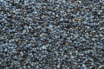 Poppy seed. Poppy seeds as background, texture close up