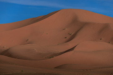 Fototapeta na wymiar Sand Düne in der Sahara Marokko, Erg Chebbi,