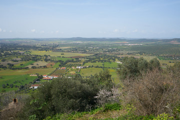 Fototapeta na wymiar Landscape around Monsaraz in Alentejo, Portugal