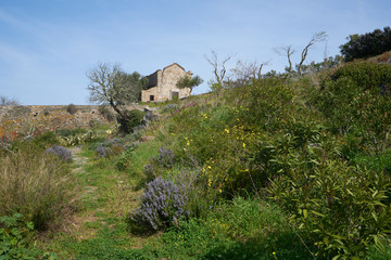 Fototapeta na wymiar Monsaraz garden with chapel on the foreground in Alentejo, Portugal