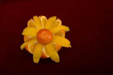 The flower from the orange and lemon. Maroon background. Juicy fruit.