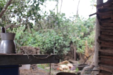 old teapot in front of bushes in the jungle