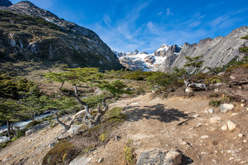 paisaje de árbol pequeño con cima de montañas de fondo