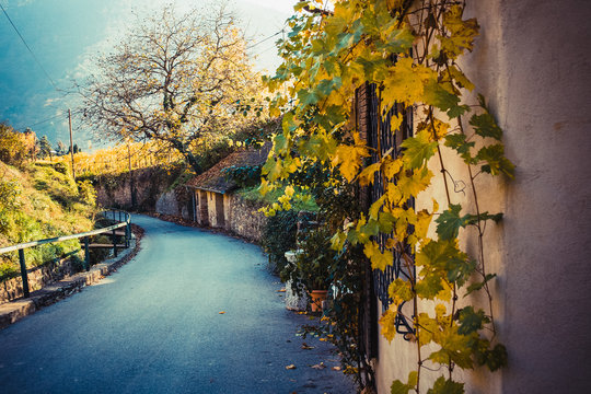 Die Wachau im Herbst