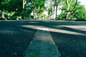 Bottom View of Asphalt Road in the Park.