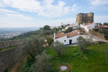Fototapeta na wymiar Evoramonte city castle wall historic buildings and olive trees park in Alentejo, Portugal