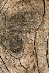 Fototapeta premium light brown wooden texture.