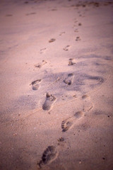Footprints in the sand from children's feet. A girl in a pink t-shirt runs along the beach in the background.