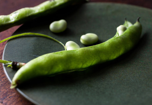 Close up of broad bean&dagger;(Vicia&dagger;faba)