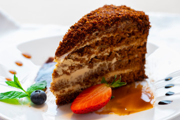 Sweet lush honey cake on a white plate with fruit