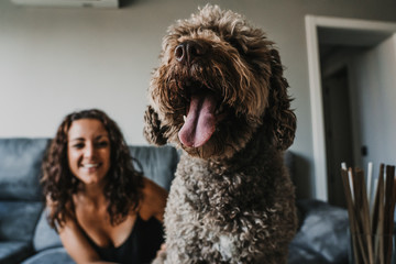 .Young woman sitting on the sofa playing with her adorable brown dog. Relaxed and carefree enjoying moments at home. Indoor lifestyle. Selective focus