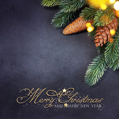 Obraz na płótnie Canvas Christmas holiday background with fir branch