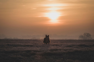 wschód border © Bartłomiej Kosmatko