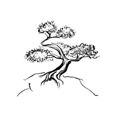 Japanese tree ink illustration.