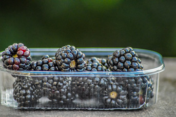 Closeup of fresh ,healthy and organic blackberry in a tray