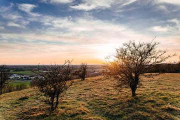 Obraz premium Sonnenuntergang Sonnenaufgang Bäume Landschaft Natur am Abend 