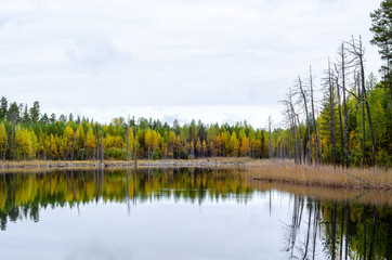Fototapeta na wymiar Ket Lake, Arkhangelsk region, Plesetsk district, Russia. Autumn
