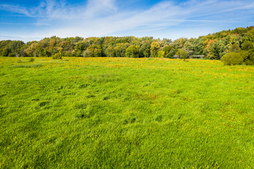 Obraz premium Aerial view of a dried-up marsh near a small woodland along the St. Lawrence River.
