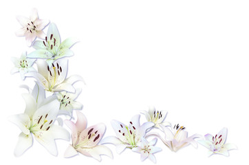 Flower composition of lilies isolated on white background