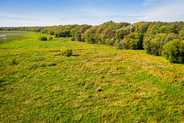 Aerial view of a dried-up marsh near a small woodland along the St. Lawrence River.