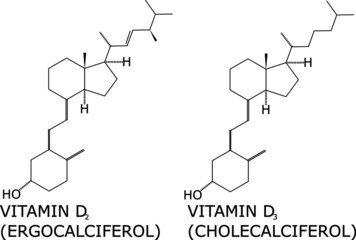 Vitamin D2 and D3 molecular structure vector. Helps calcium absorption on the bones, and is important in muscles, nerves and the immune system. Present in fish, animal liver and cheese