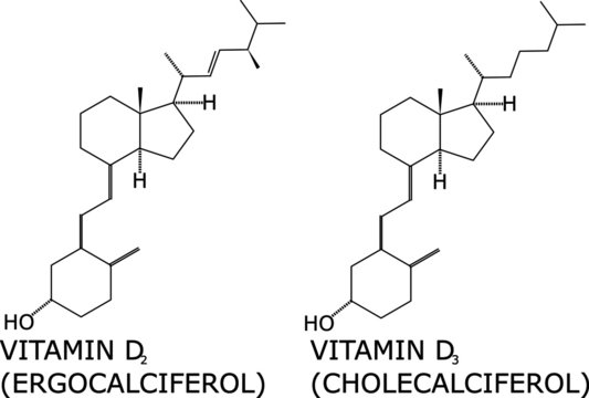 Vitamin D2 And D3 Molecular Structure Vector. Helps Calcium Absorption On The Bones, And Is Important In Muscles, Nerves And The Immune System. Present In Fish, Animal Liver And Cheese