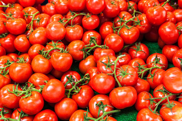 red tomatoes background