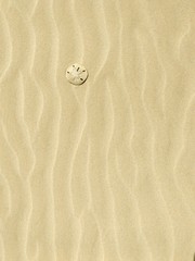 Sand Texture