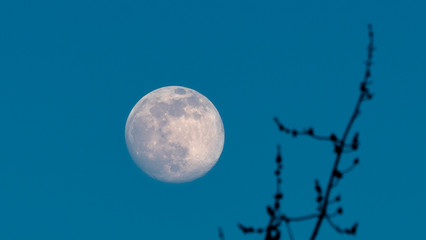 full moon in early evening 