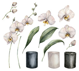 Set of watercolor orchids and pots. Hand painted tropical white flowers, branches, leaves and ceramic pots isolated on white background. Floral illustration for design, fabric, print or background. © yuliya_derbisheva