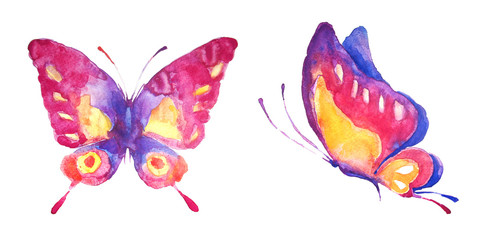 Fototapeta na wymiar beautiful butterfly,watercolor, isolated on a white