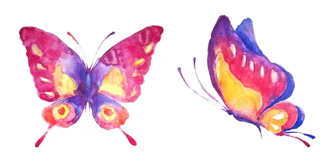 Fototapete Schmetterlinge schöner Schmetterling, Aquarell, isoliert auf einem weißen