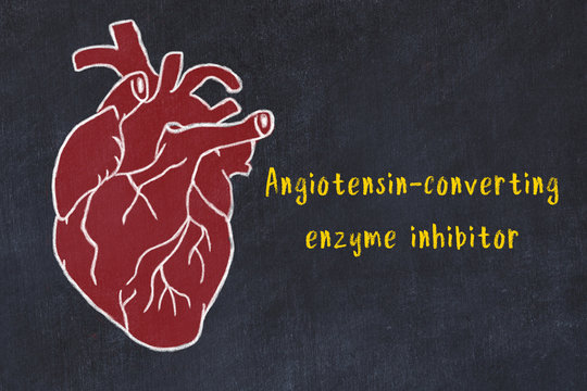 Learning Cardio System Concept. Chalk Drawing Of Human Heart And Inscription Angiotensin-converting Enzyme Inhibitor