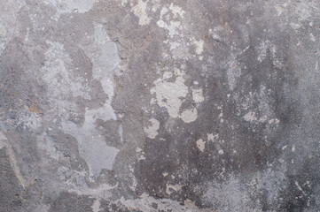 Old wall in gray hue colors