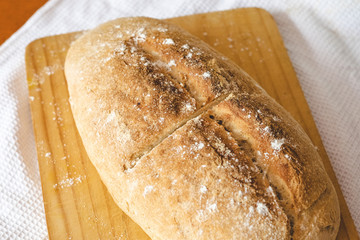 Homemade freshly baked bread. Chilean bread