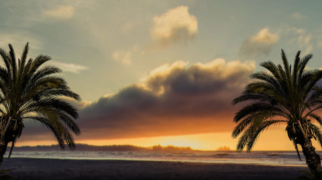 Two Plam Tree With Sunset At Tropical Beach.