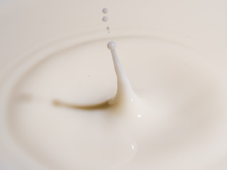 splash of milk