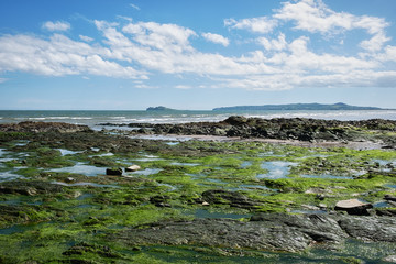 Coast of the atlantic ocean at low tide.