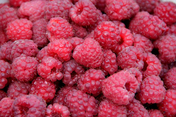 Red berries of raspberry in heap. Pile of ripe berries