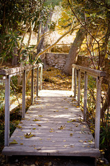 Wood bridge on the forest vanishing point perspective