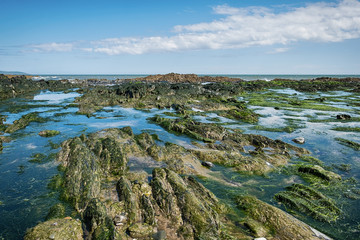 Fototapeta na wymiar Irish coastline at low tide.