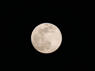 the Super Moon in the clear night sky of April 7, 2020, the occasion of the year 2020 in which the satellite is closer to Earth and brighter than a normal full Moon
